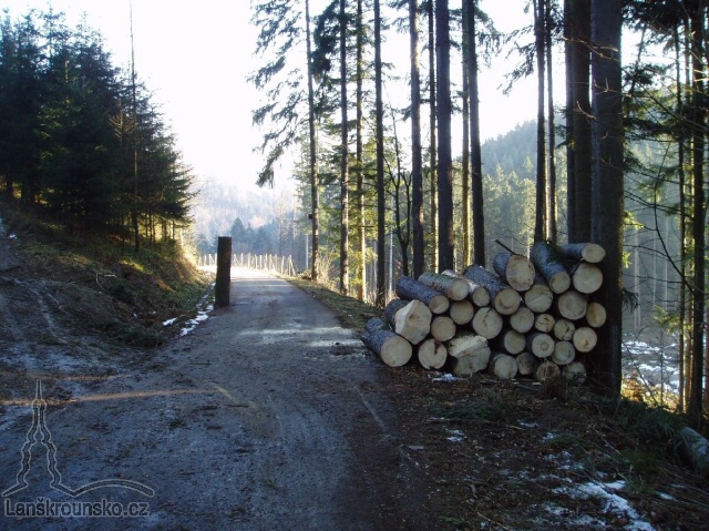 24_Cykliste_Do Sazavskeho udoli.jpg